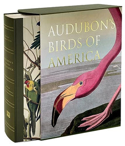 Audubon’s Birds of America 