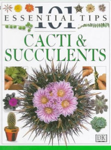 Cacti & Succulents 