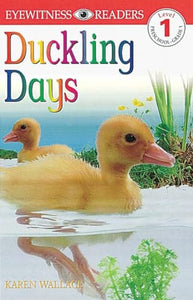 DK Readers L1: Duckling Days 