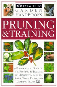 Pruning & Training 