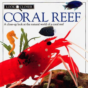 Coral Reef 