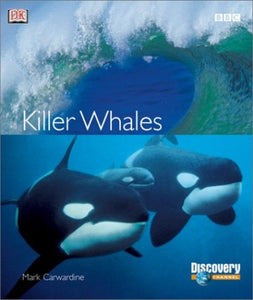 Killer Whale 