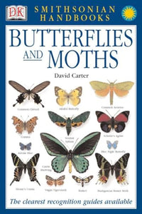 Butterflies & Moths 