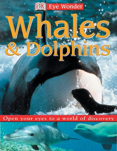 Whales & Dolphins 