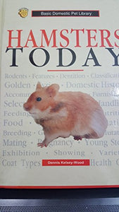 Hamsters Today 