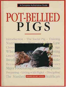 Pot-bellied Pigs 