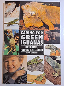 The Guide to Owning a Green Iguana 