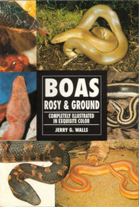 Boas, Rosy and Ground 