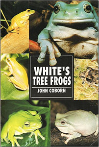 White's Tree Frogs 