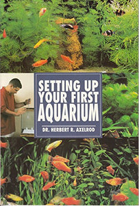 Setting Up Your First Aquarium 