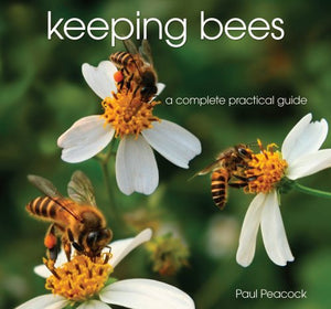 Keeping Bees 