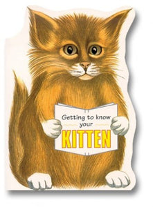 Getting to Know Your Kitten 