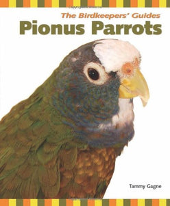 Pionus Parrots 