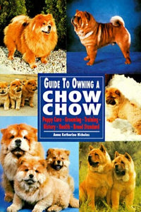 Guide to Owning a Chow Chow 