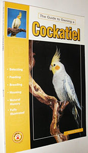 Guide to Owning a Cockatiel 