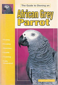 The Guide to Owning an African Grey Parrot 