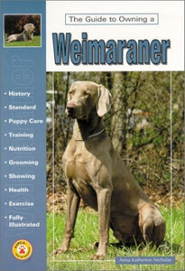 The Guide to Owning a Weimaraner 