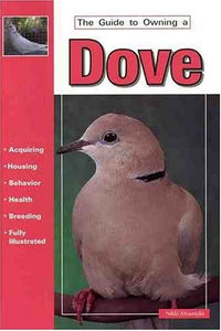 The Guide to Owning a Dove 