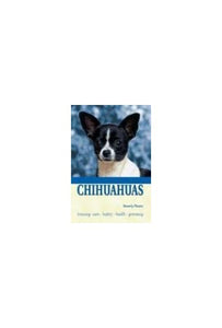 Chihuahuas 