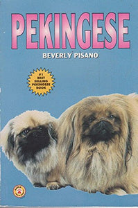 Pekingese 