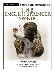 The English Springer Spaniel 