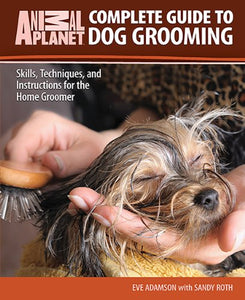 Complete Guide to Dog Grooming 