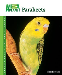 Parakeets 