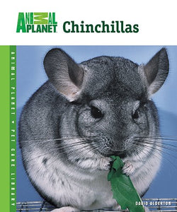 Chinchillas 