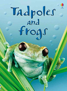 Tadpoles and Frogs 