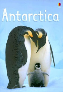 Antarctica 