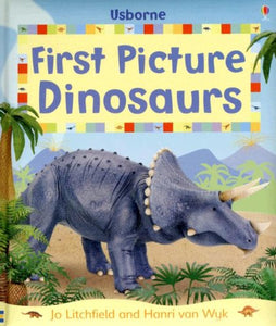 First Picture Dinosaurs 