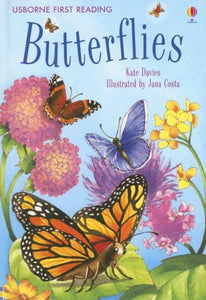 Butterflies 