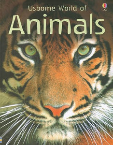 Usborne World of Animals 