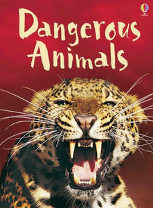 Dangerous Animals 