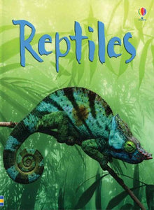 Reptiles 