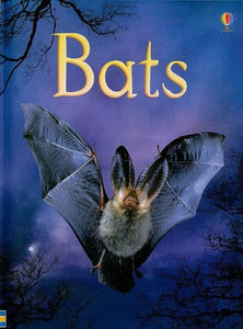 Bats 