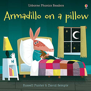 Armadillo on a Pillow 