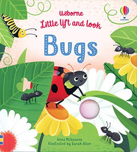 Usborne Little Lift and Look Bugs 