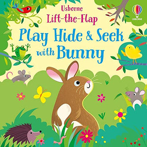 Lift-the-Flap Play Hide & Seek with Bunny 