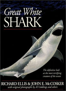 Great White Shark 