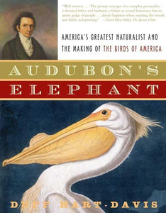 Audubon's Elephant 