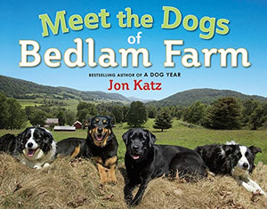 Meet the Dogs of Bedlam Farm 