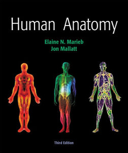 Human Anatomy 