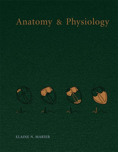 Anatomy & Physiology 