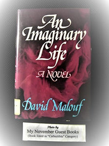 An Imaginary Life 