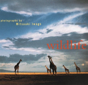 Wildlife 