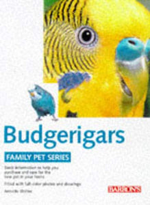 Budgerigars 