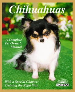 Chihuahuas 