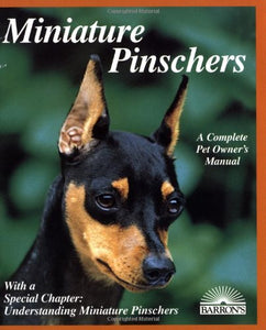 Miniature Pinschers 