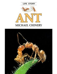 Ant 